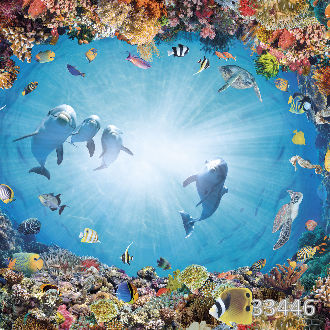 Дельфинье царство