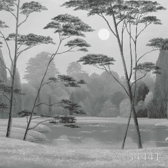 Ночное озеро 3