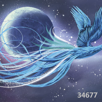 Феникс в ночном небе