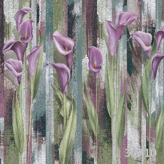 Фиолетовые каллы