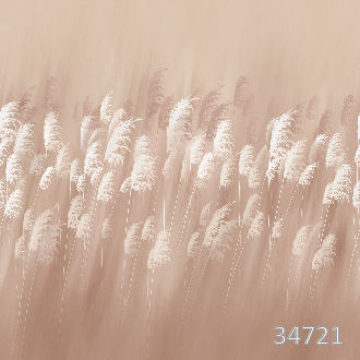 Пшеничное поле