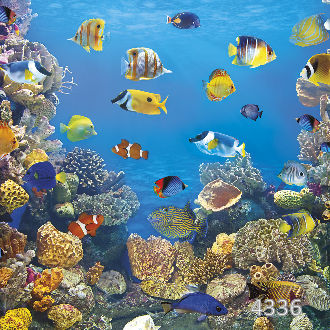 Подводный мир