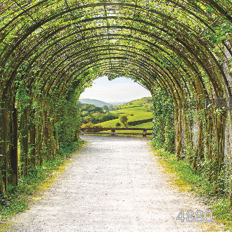 Зеленая пергола